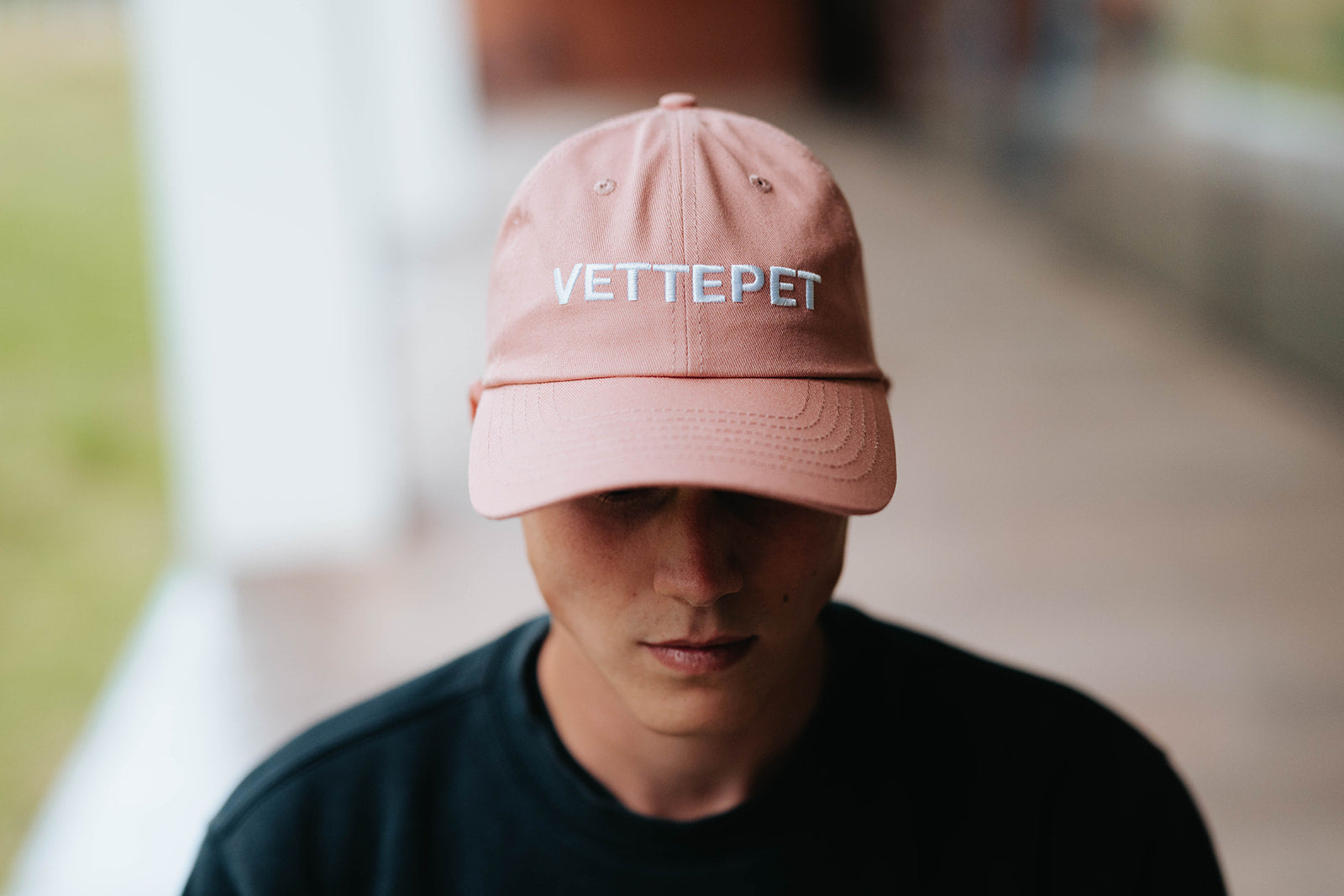 Flamingo Vettepet